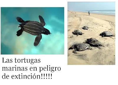 algo mas??