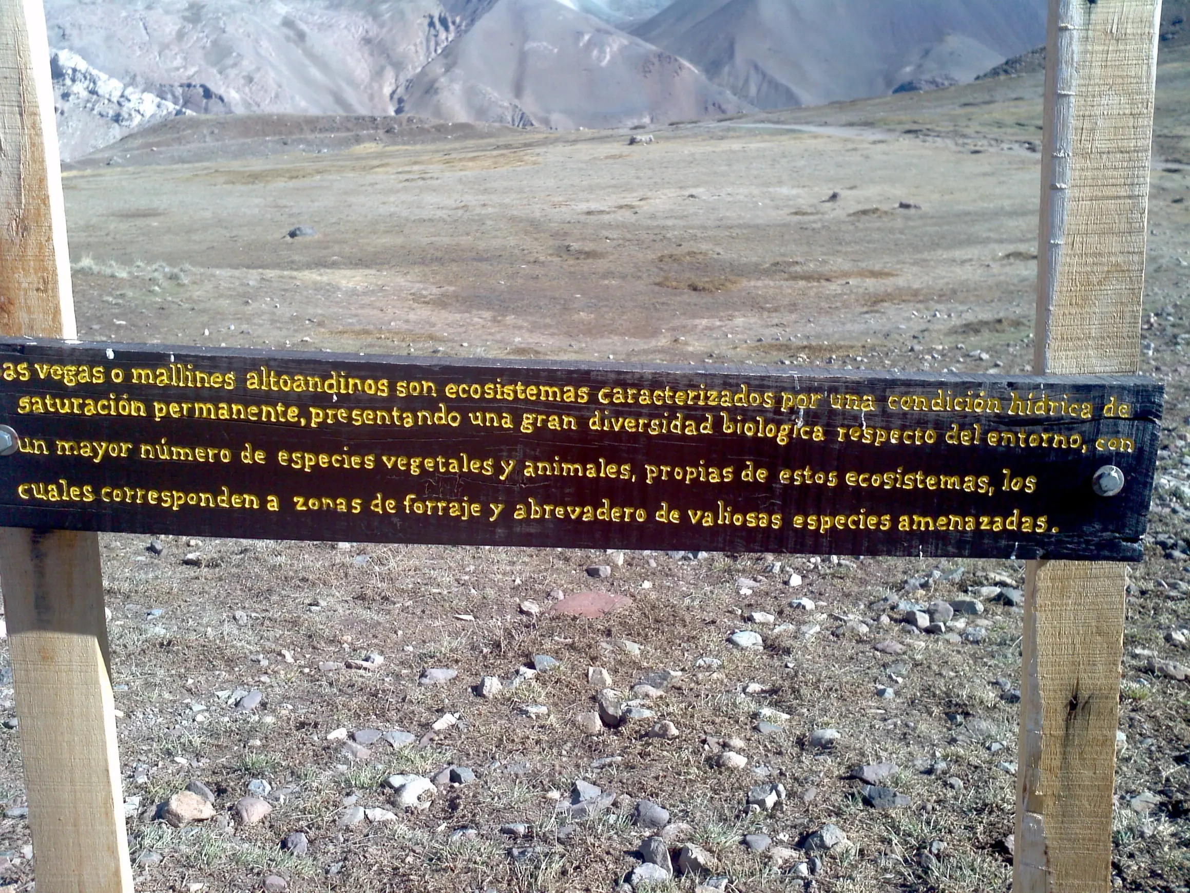 Vuelteando Mendoza (Fotos Propias)