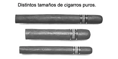 hierva