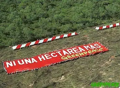 ¡En 25 años Argentina queda sin bosques!