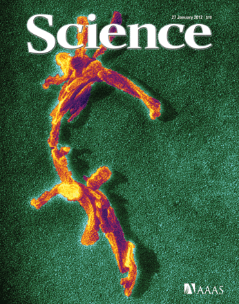 mensajes subliminales