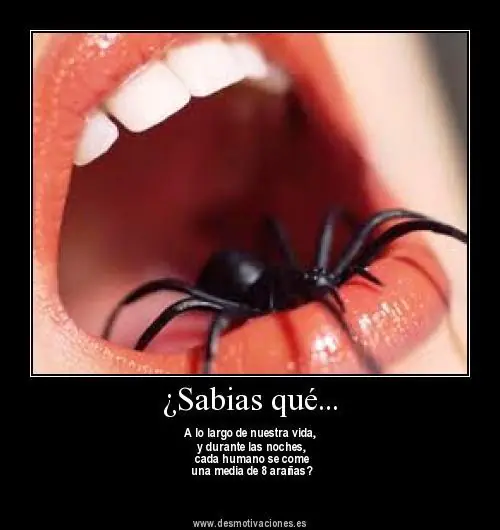 imagenes