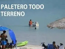 ingenio ingenio