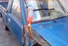 curioso curioso