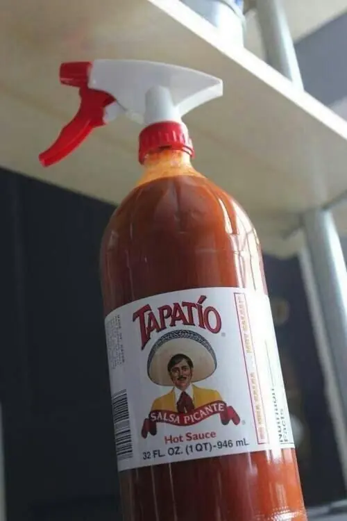ingenio ingenio