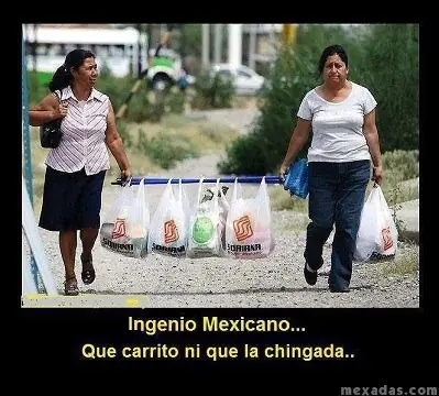 ingenio ingenio