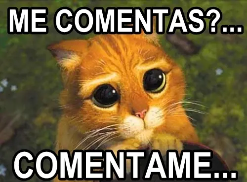 mujeres