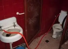 curioso curioso