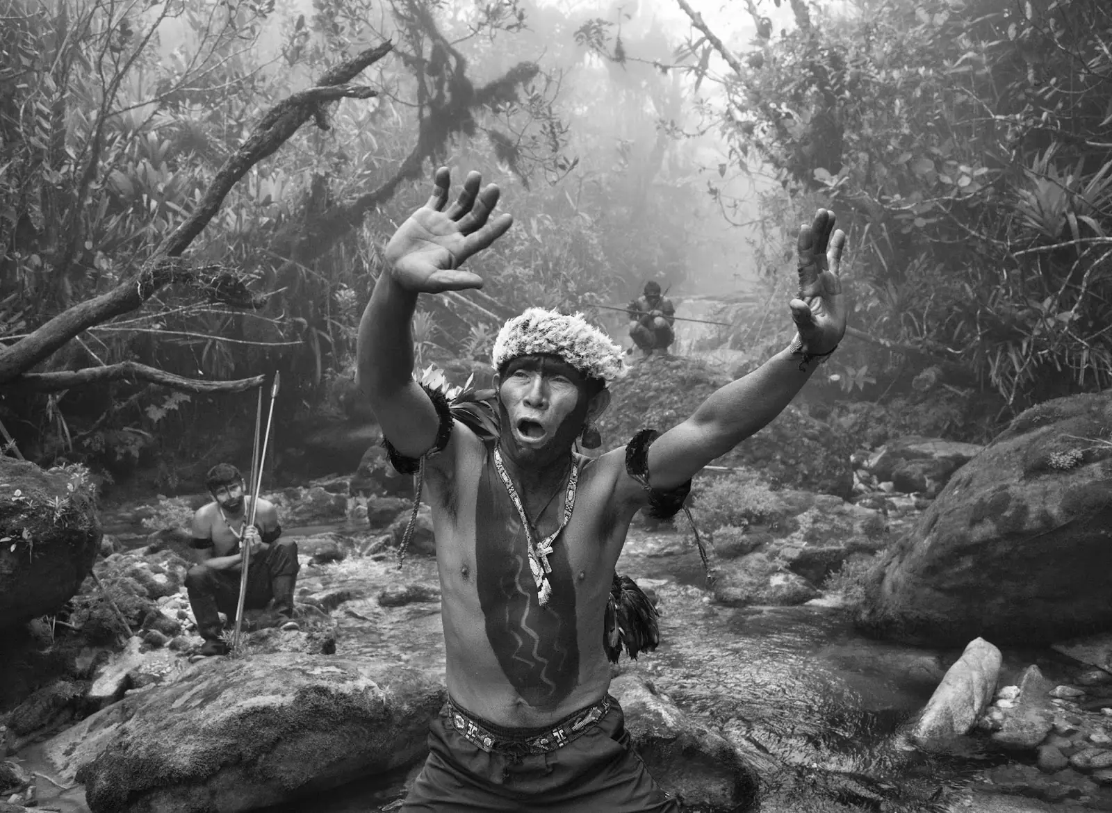 indigenas indigenas