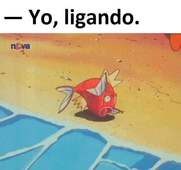 humor humor