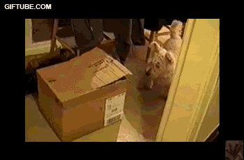 pasar el rato pasar el rato