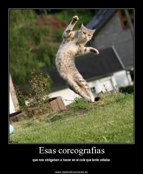 ¿Aburrido?, ¡Espera!, no vayas a poringa aún, pasate! ¿Aburrido?, ¡Espera!, no vayas a poringa aún, pasate!