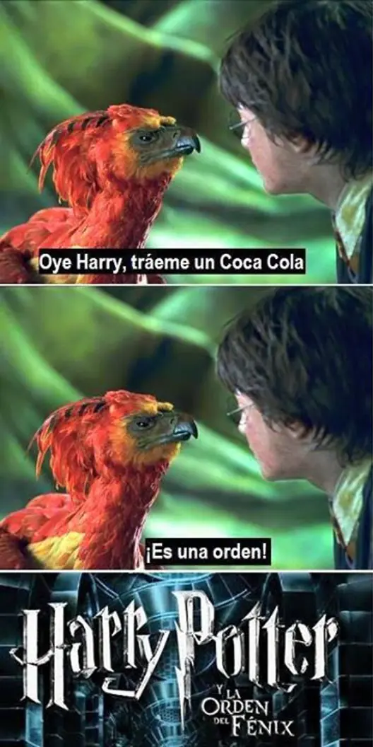usuarios usuarios