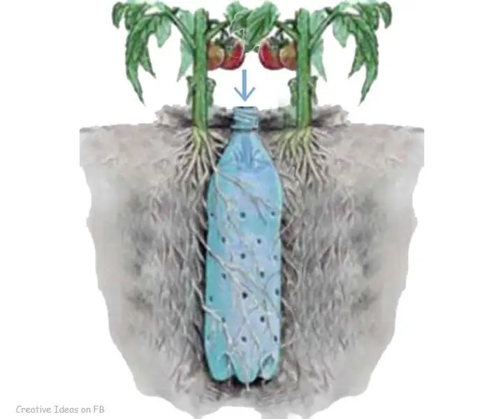 Tonterias Tonterias