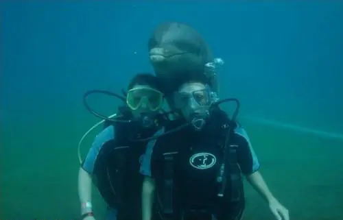 Nunca falta el que te caga la foto