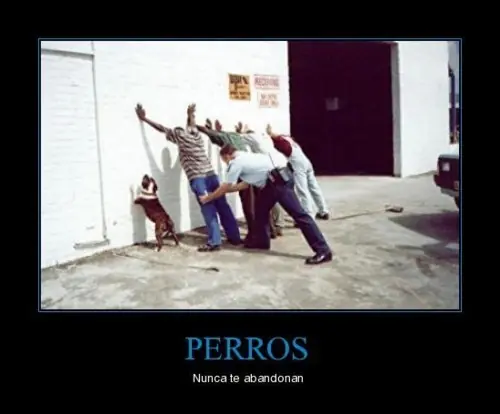 humor humor