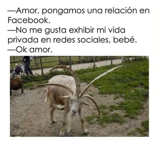 Esos Shout Taringueros Esos Shout Taringueros