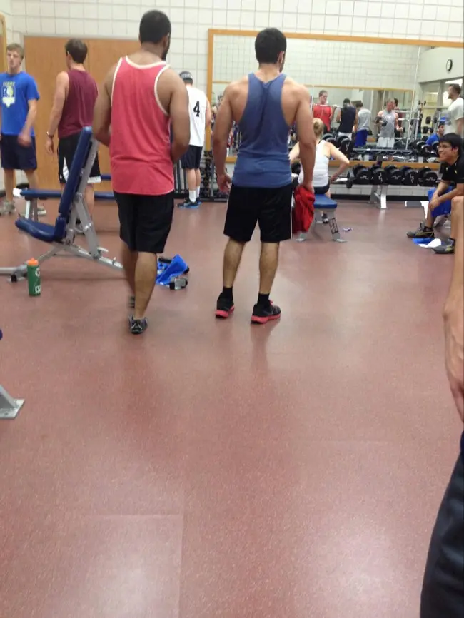 musculos