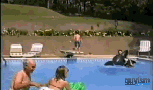 gifs