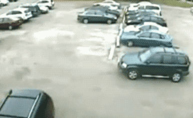 gifs