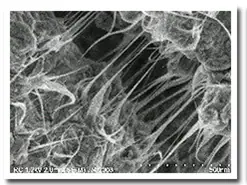 Nanotecnología en la construcción Usos, aportes y caracter
