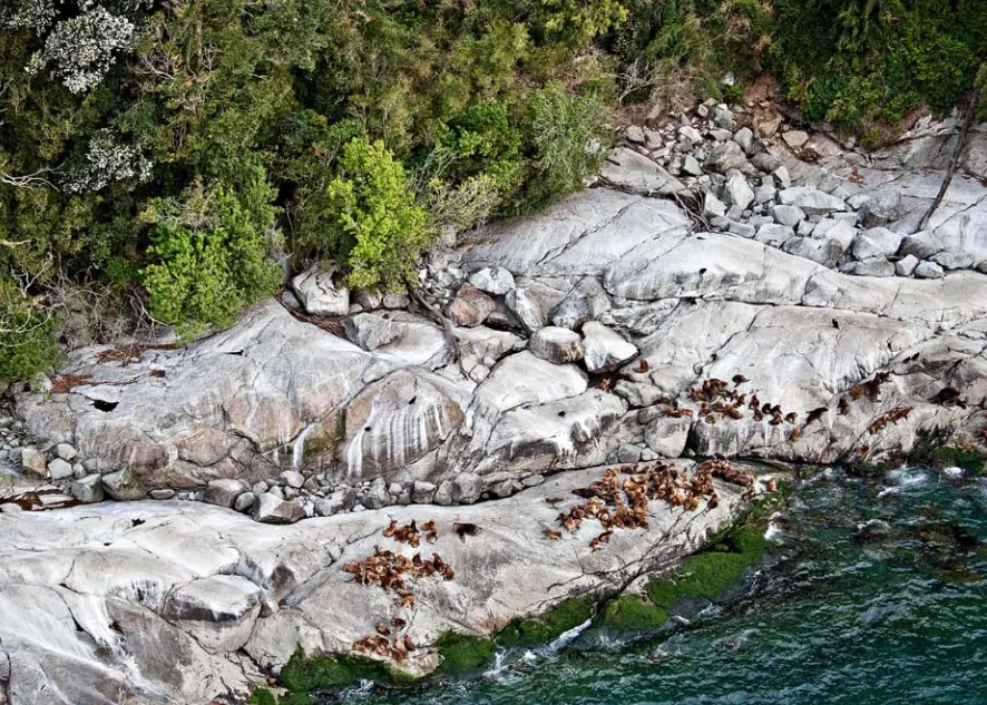 patagonia