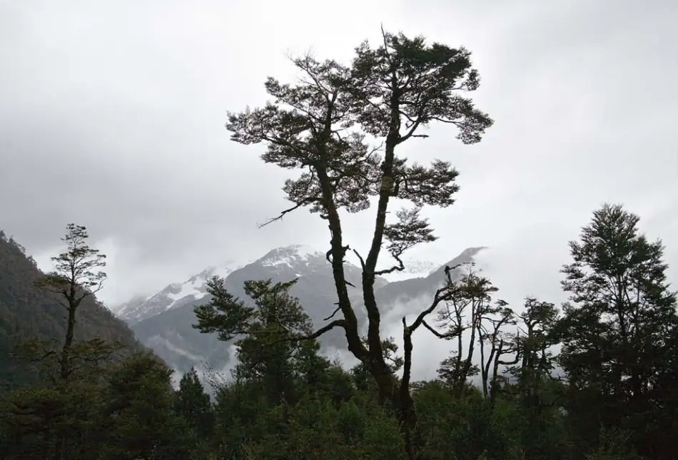 El lugar mas hermoso del mundo: la patagonia desconocida
