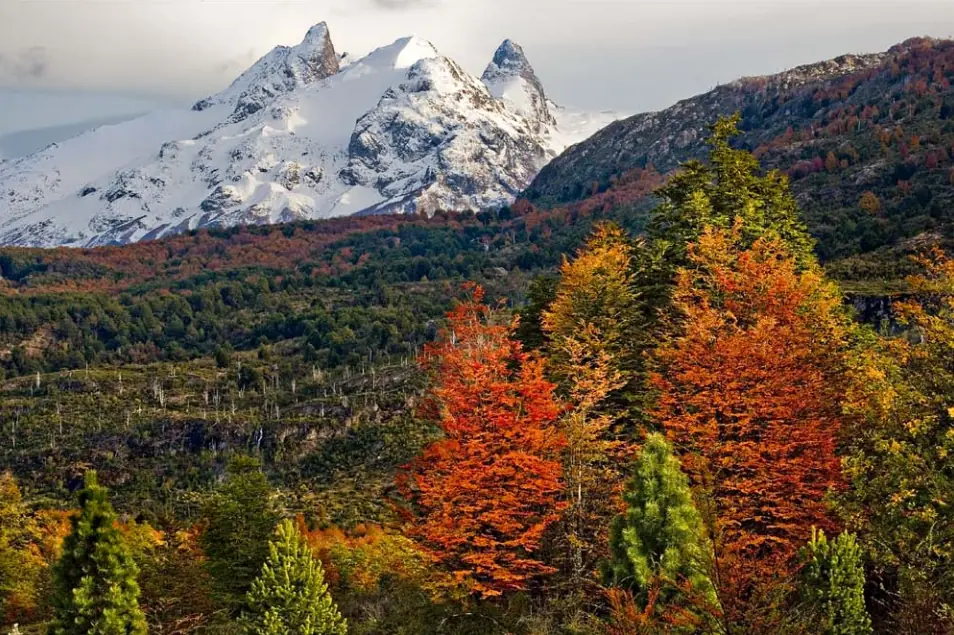 chile