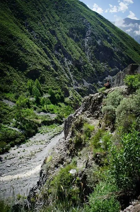 argentina