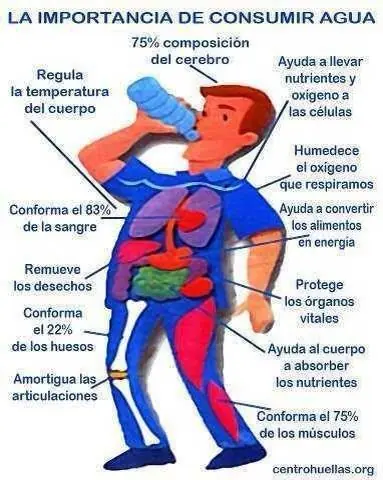 acne ayuda