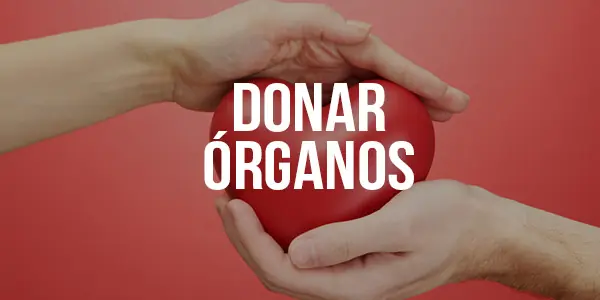 terminar con la delincuencia