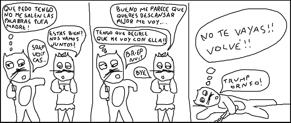Gato
