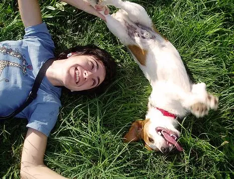 ¿Por qué el perro es el mejor amigo del hombre?