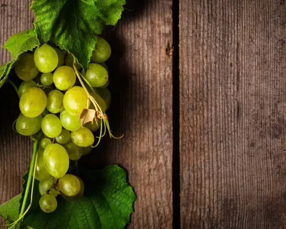 Alimentos que mantienen tu piel joven