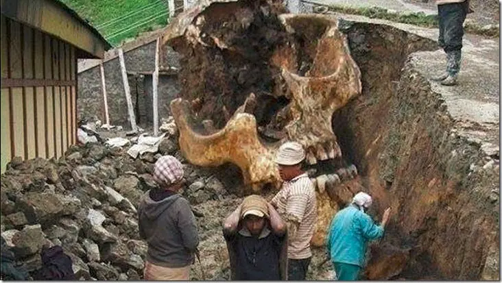 El gigante de Tapalpa