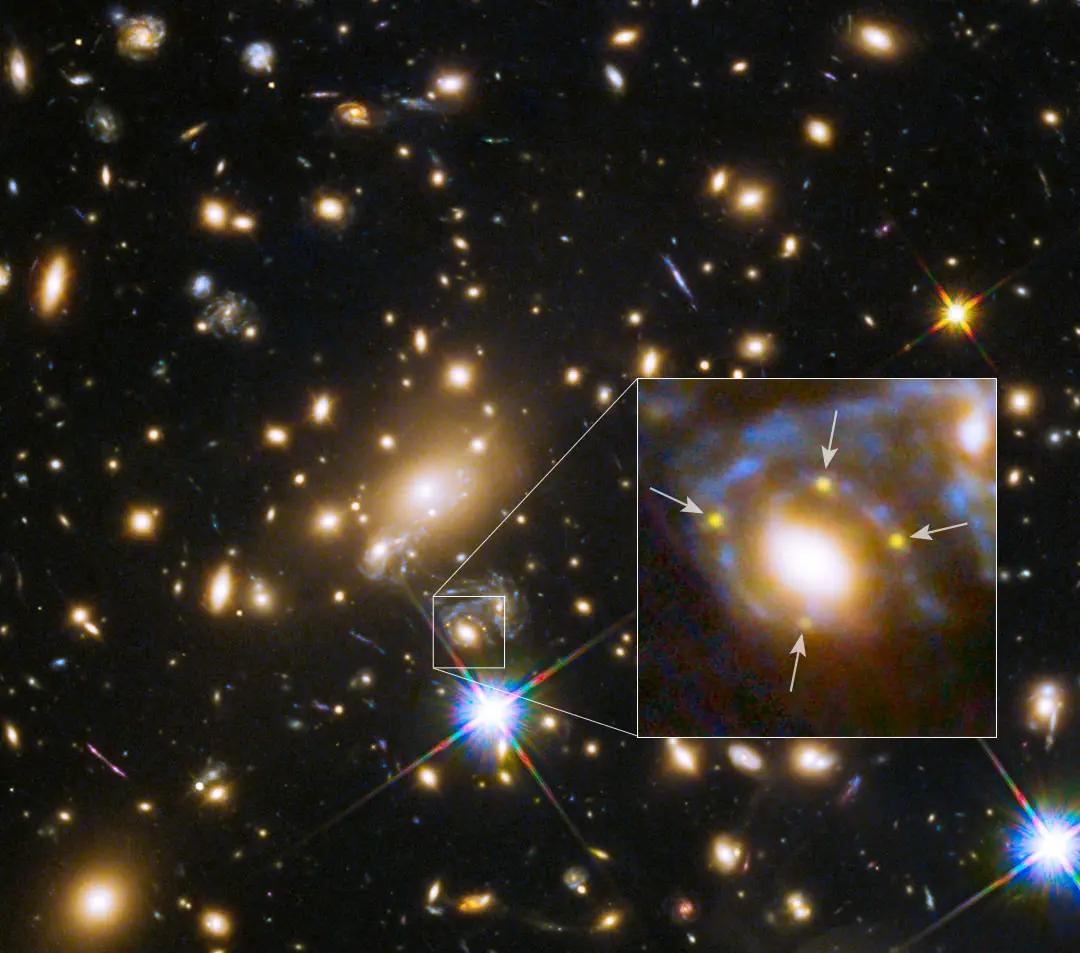 cygnus