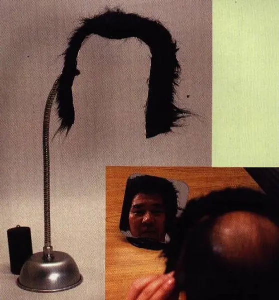 Inventos japoneses para Taringueros