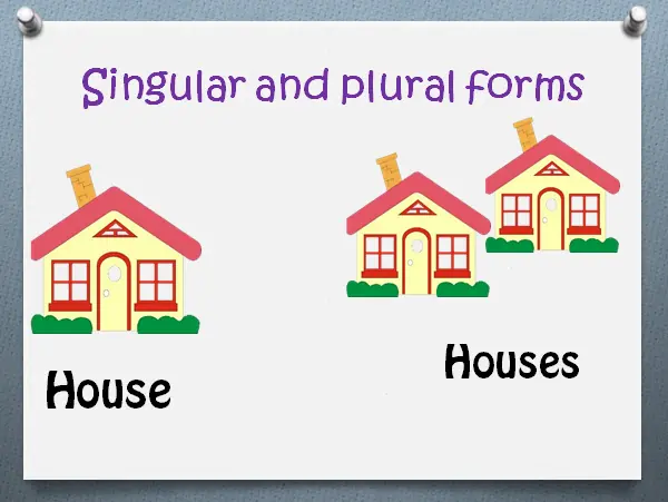 Cómo se forma el plural en inglés
