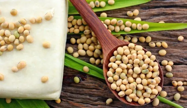 5 alimentos geneticamente modificados que comes diariamente
