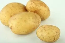 alimentos