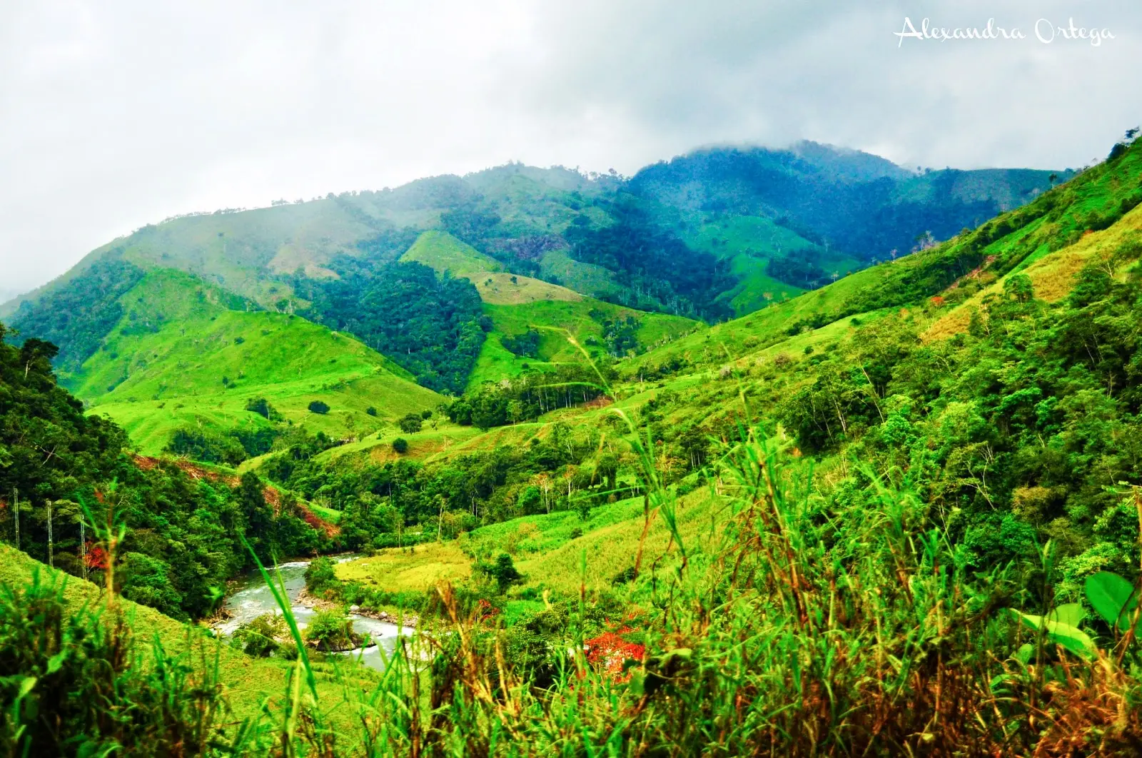 Ciudad de Oxapampa (Perú) , bello destino turistico