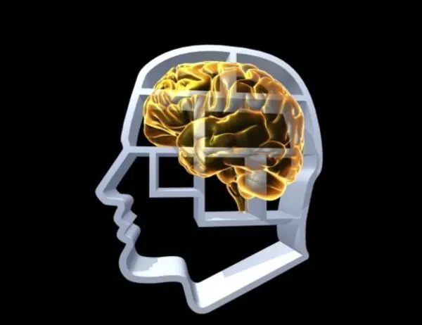 El cerebro necesita olvidar para recordar