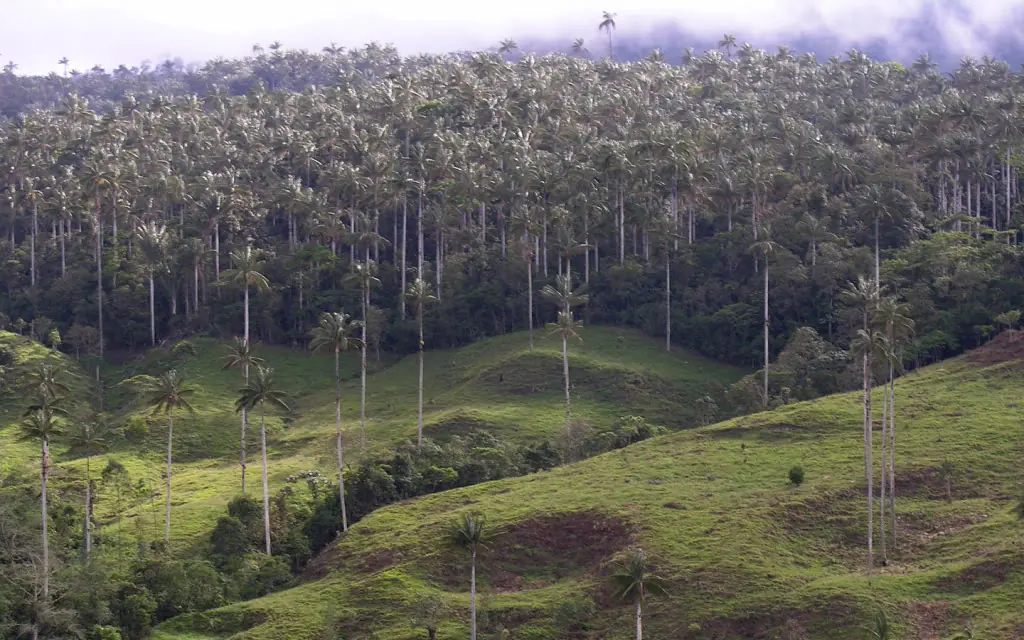 Peru Maravilloso
