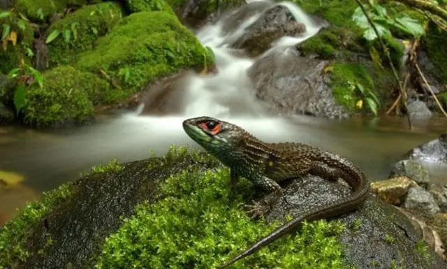 Peru Maravilloso