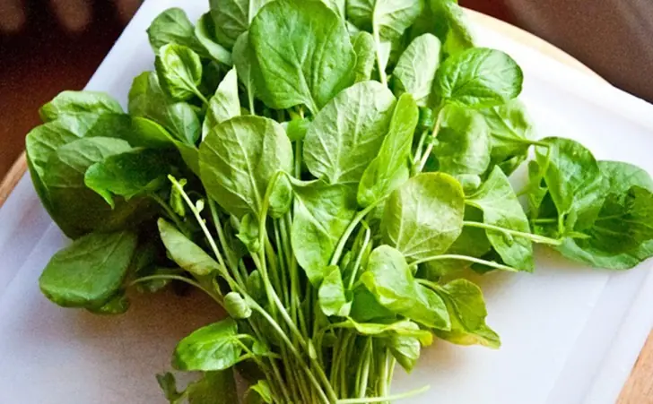 Vegetales con Mas Nutrientes,son los ganadores !!