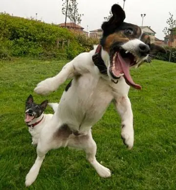 Como hacer que aparescan los servers en internet cs 1.6