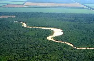 Las Brujas de Aguaray (Salta, historia de terror real)