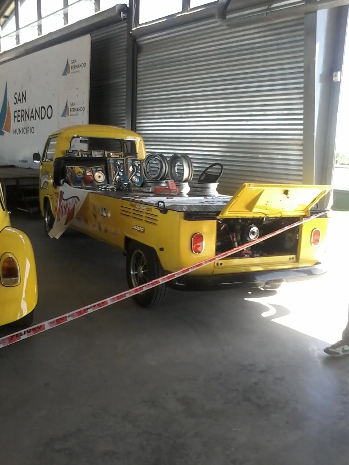 fusca fusca