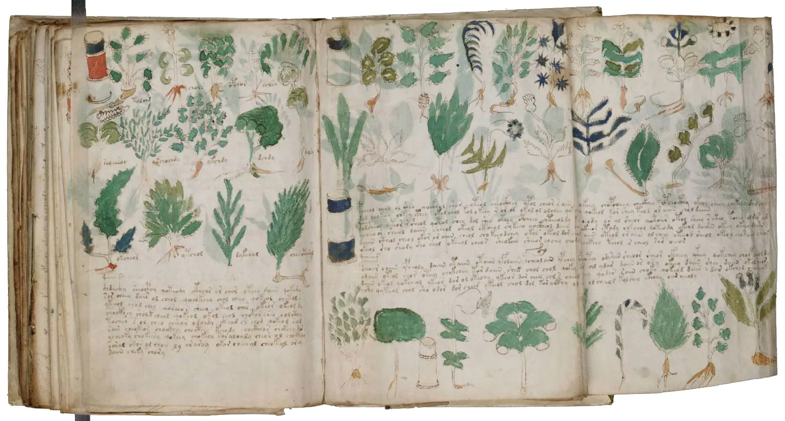 Manuscrito