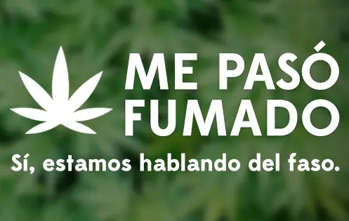 Anécdotas graciosas de personas que consumieron marihuana
